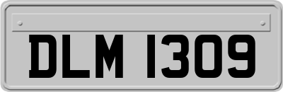 DLM1309