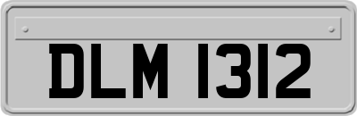 DLM1312