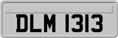 DLM1313