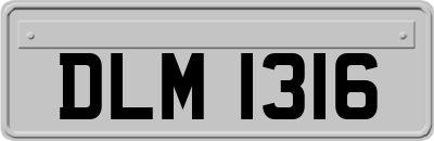 DLM1316