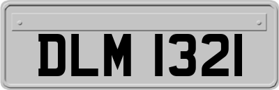 DLM1321