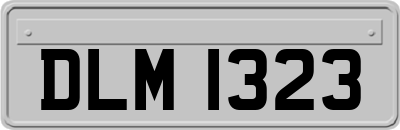 DLM1323