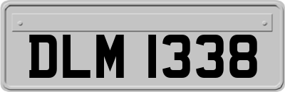 DLM1338
