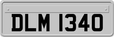 DLM1340