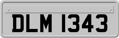 DLM1343