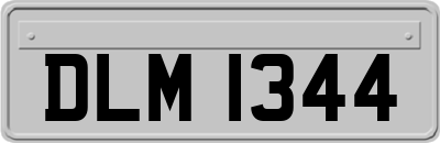 DLM1344