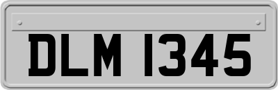 DLM1345