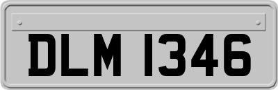 DLM1346