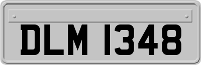 DLM1348