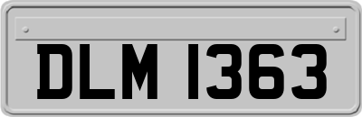 DLM1363