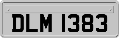 DLM1383