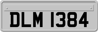 DLM1384