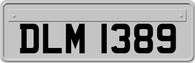 DLM1389
