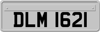 DLM1621