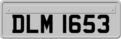 DLM1653