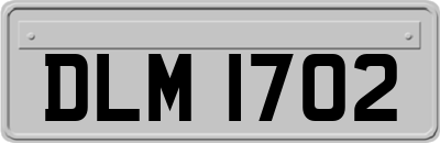 DLM1702