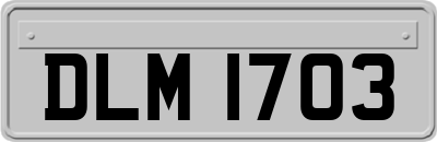 DLM1703
