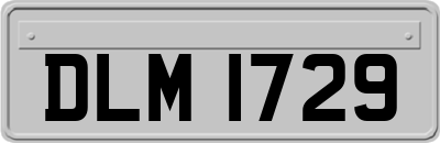 DLM1729