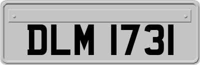 DLM1731