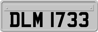 DLM1733