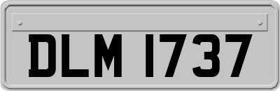 DLM1737