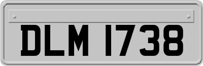 DLM1738