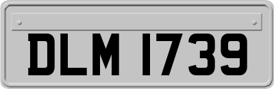 DLM1739