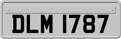 DLM1787