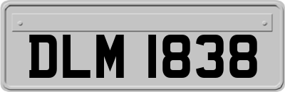 DLM1838