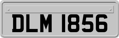 DLM1856