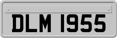 DLM1955