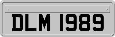 DLM1989