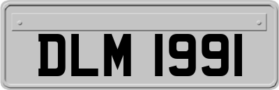 DLM1991