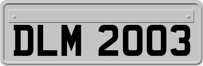 DLM2003
