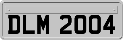 DLM2004