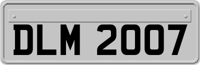 DLM2007