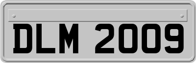 DLM2009