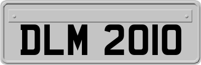 DLM2010