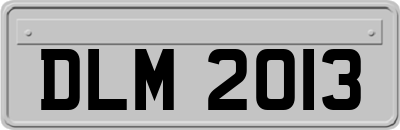 DLM2013