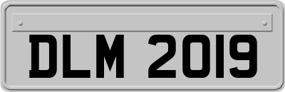 DLM2019