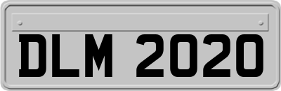 DLM2020