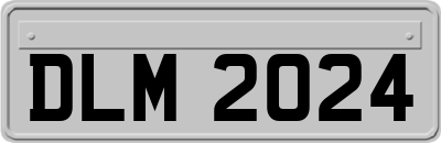 DLM2024