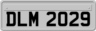 DLM2029