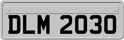 DLM2030