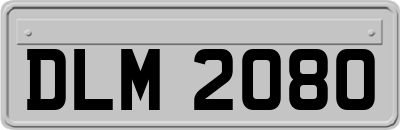 DLM2080