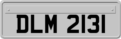 DLM2131