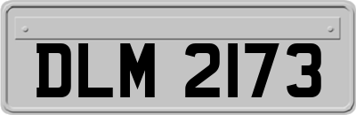 DLM2173