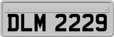 DLM2229