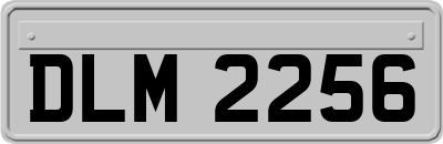 DLM2256