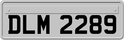 DLM2289
